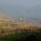 Weissenkirchen/Wachau im Herbstdunst