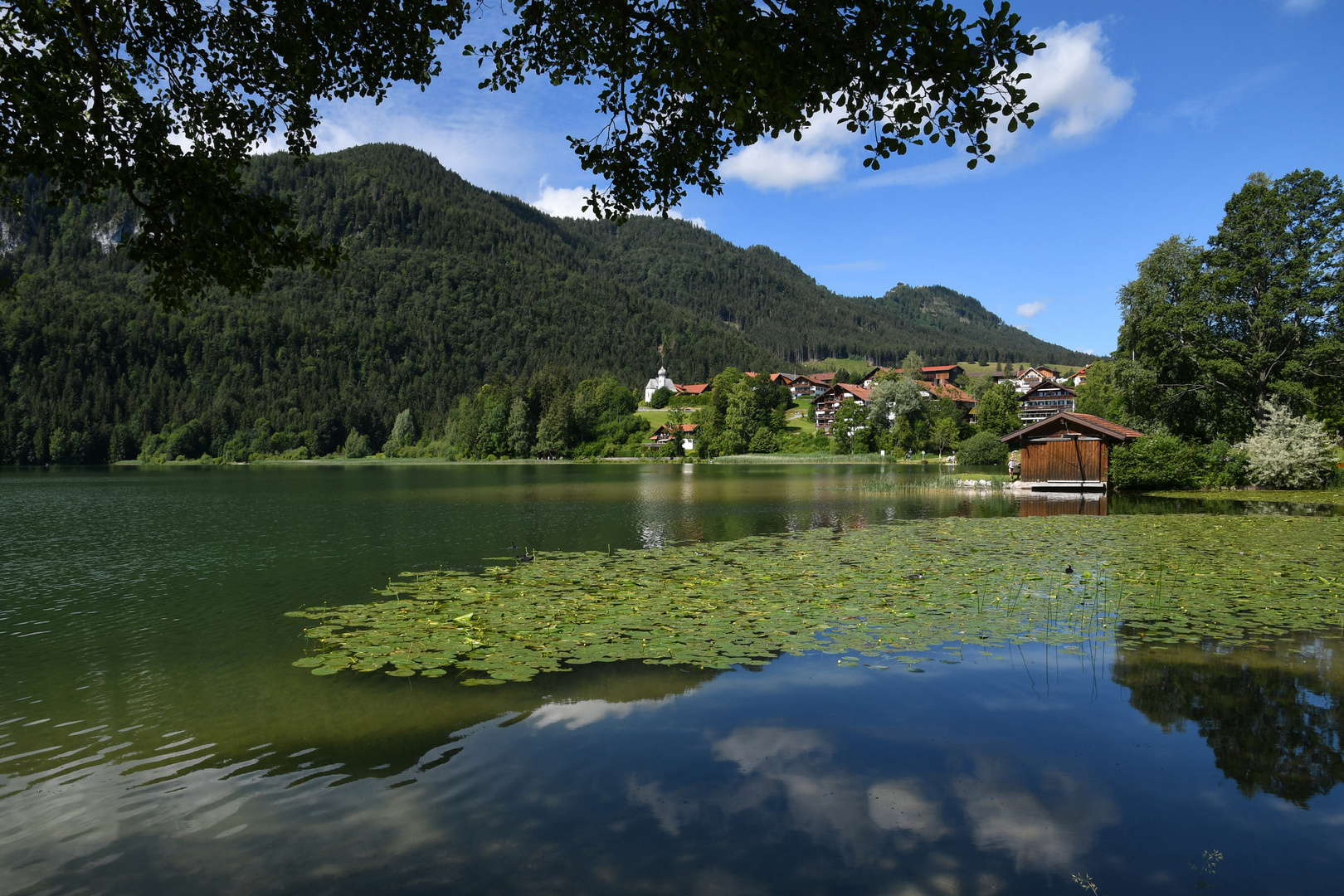 Weissensee 