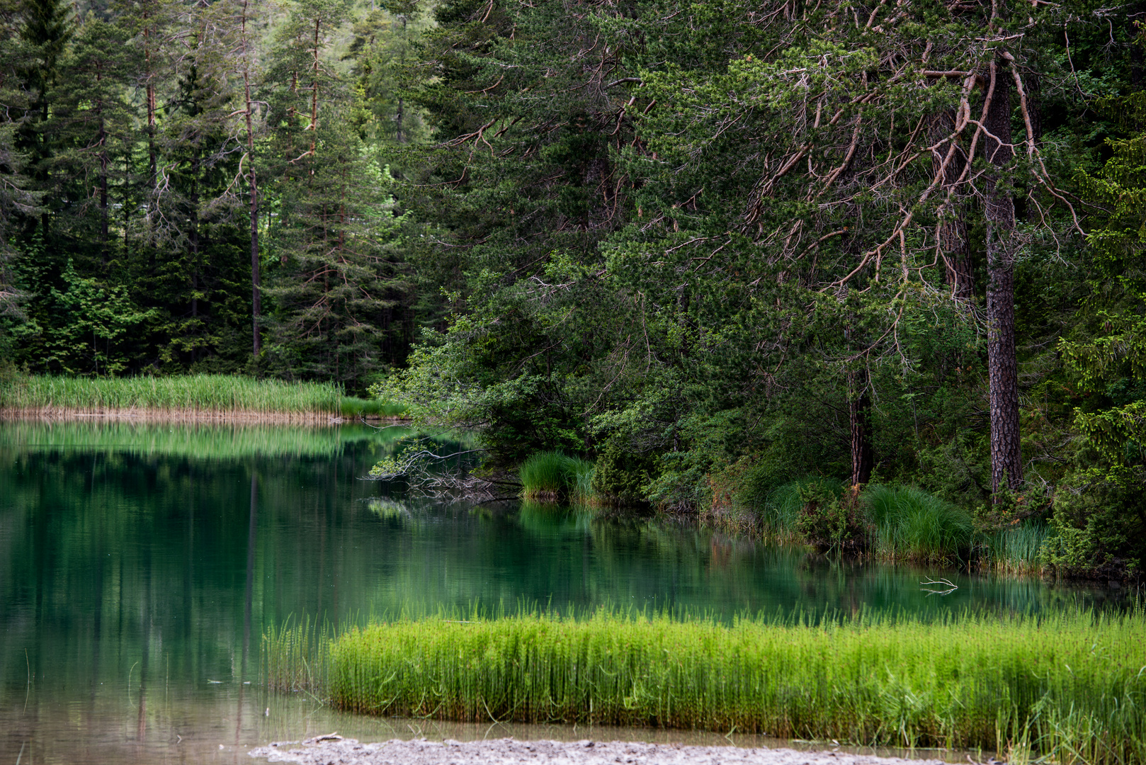 Weißensee 1