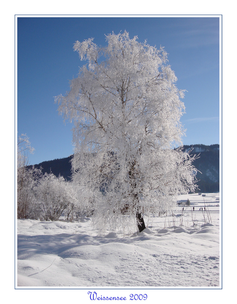 Weissensee 2009