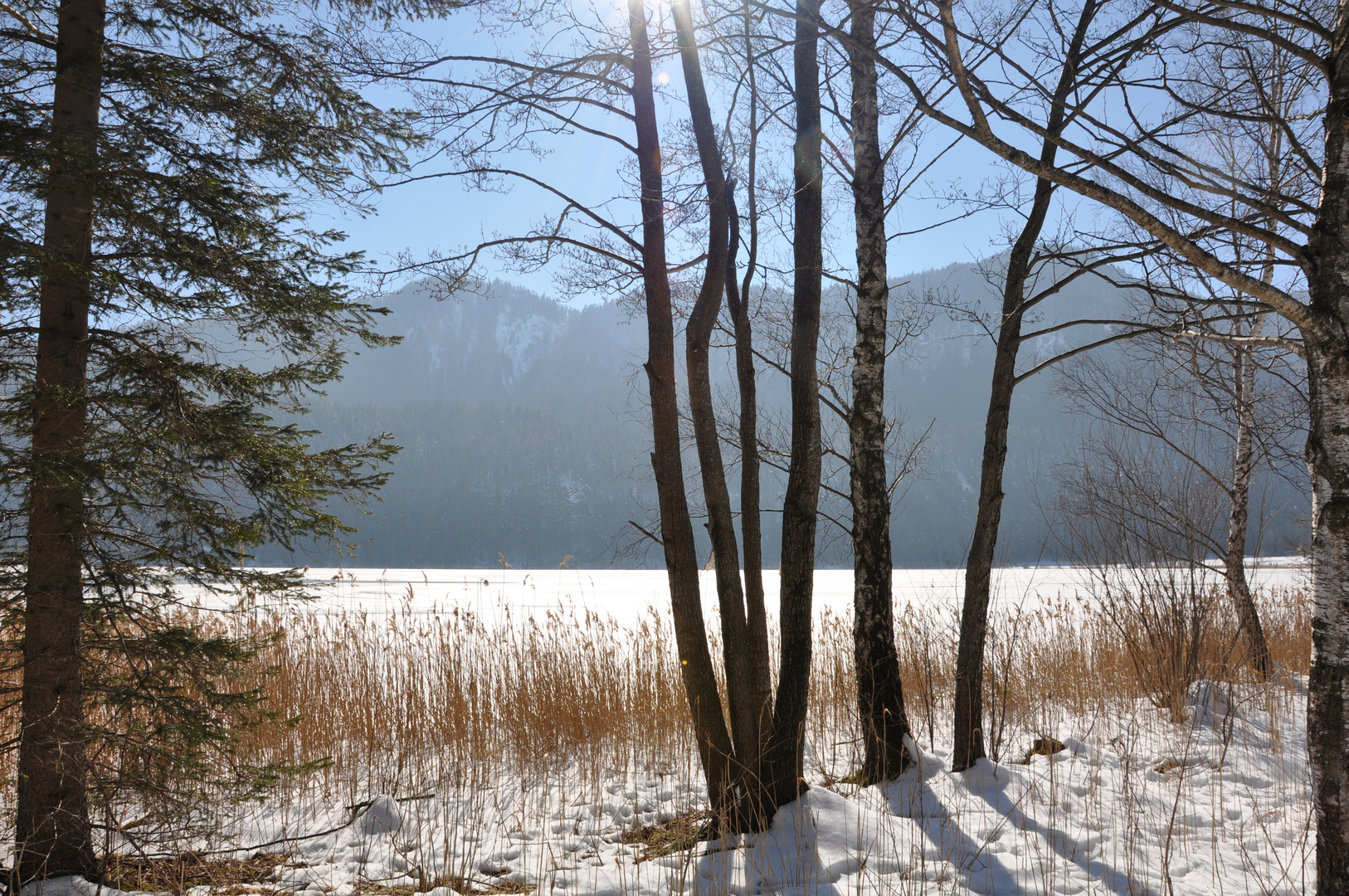 Weissensee 7