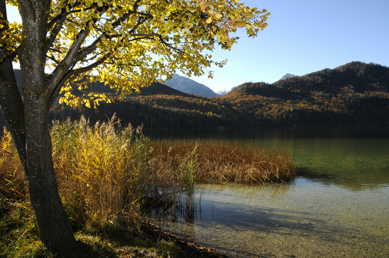 Weißensee