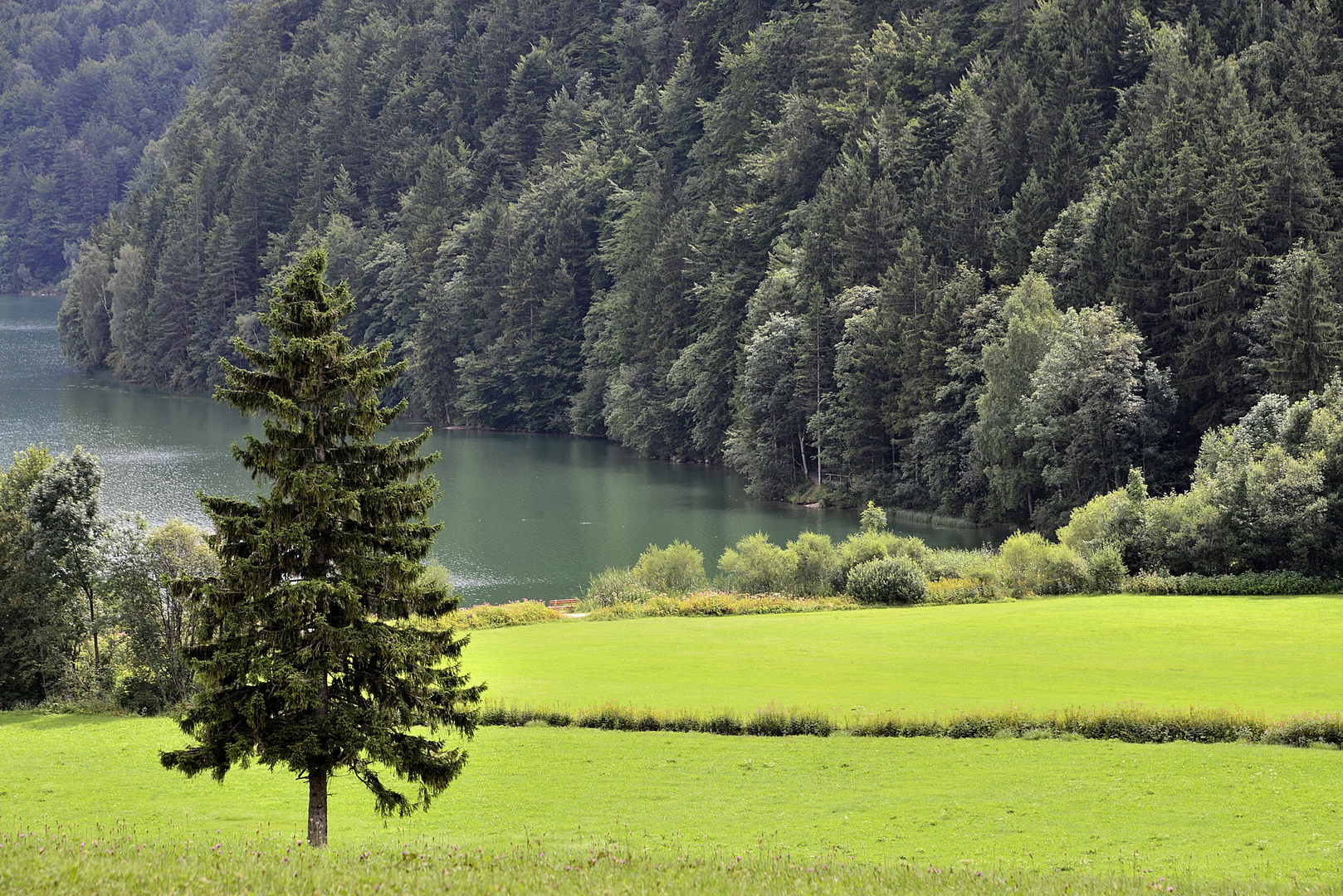 Weißensee