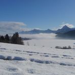 "Weißensee bei Füssen 1 - Free Fallin"