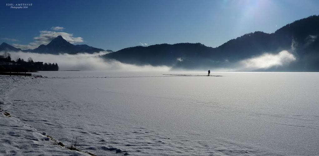 "Weißensee bei Füssen 3 - Unzertrennlich"