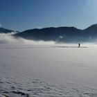 "Weißensee bei Füssen 3 - Unzertrennlich"