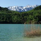 Weissensee