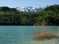 Weissensee