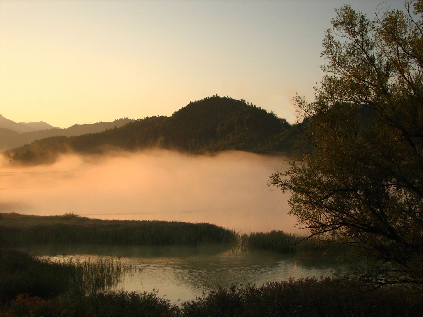 Weissensee frühmorgens im Allgäu