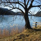 Weißensee im Dezember