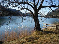 Weißensee im Dezember