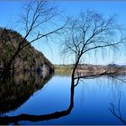 Weissensee im Ostallgäu (2)