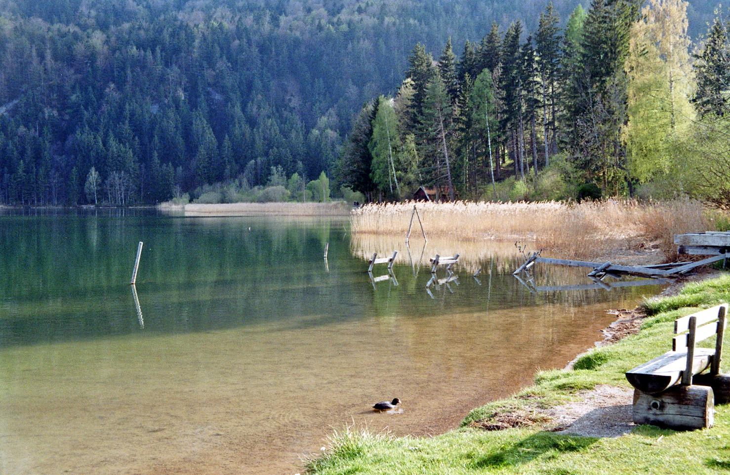 Weißensee in Allgäu