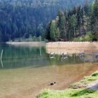 Weißensee in Allgäu