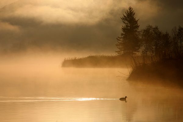 Weißensee / Kärnten