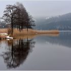 Weissensee ( Ostallgäu )