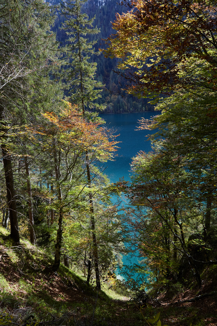 Weissensee Ostufer