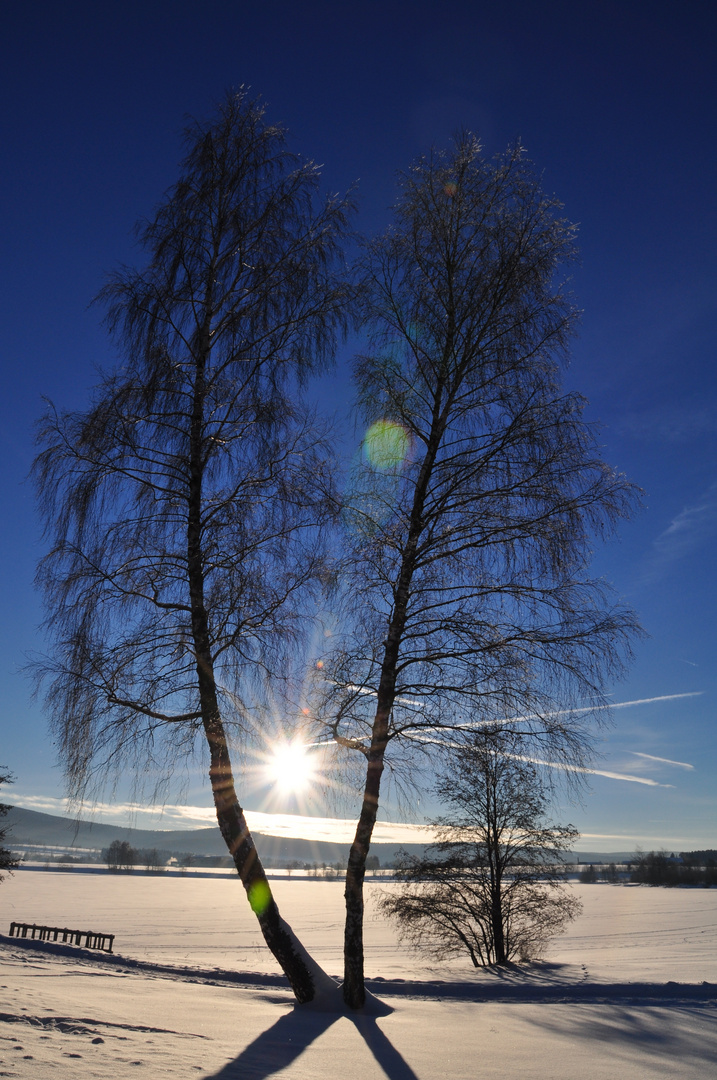 Weißenstädter See