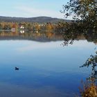 Weißenstädter See