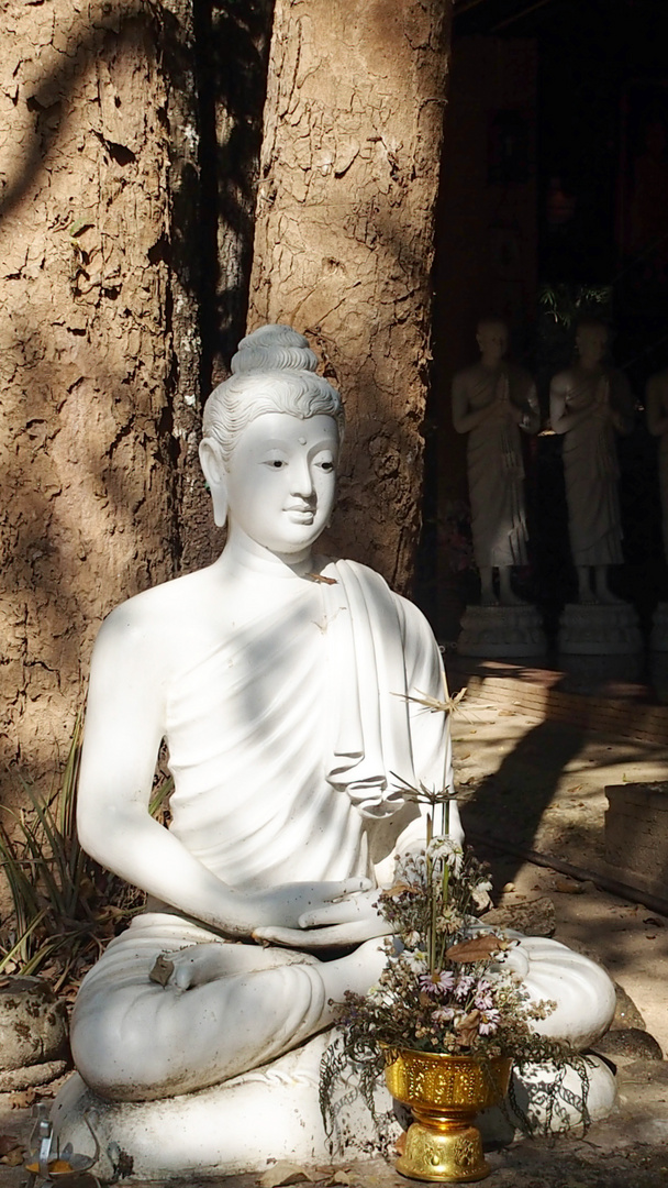 weisser Buddha mit liebevoller Ausstrahlung