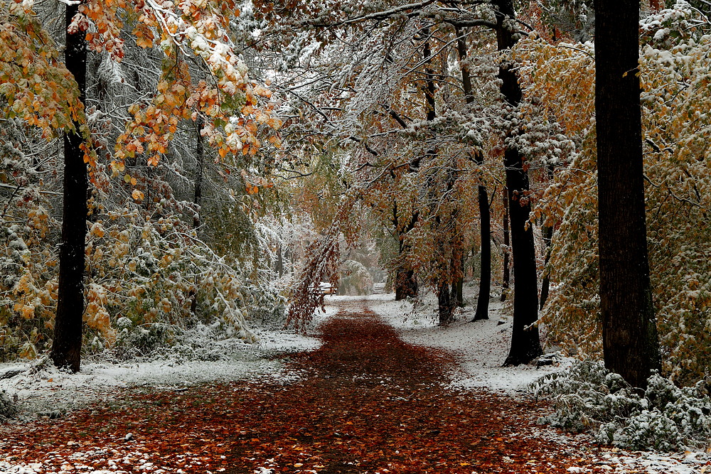 Weißer Herbst