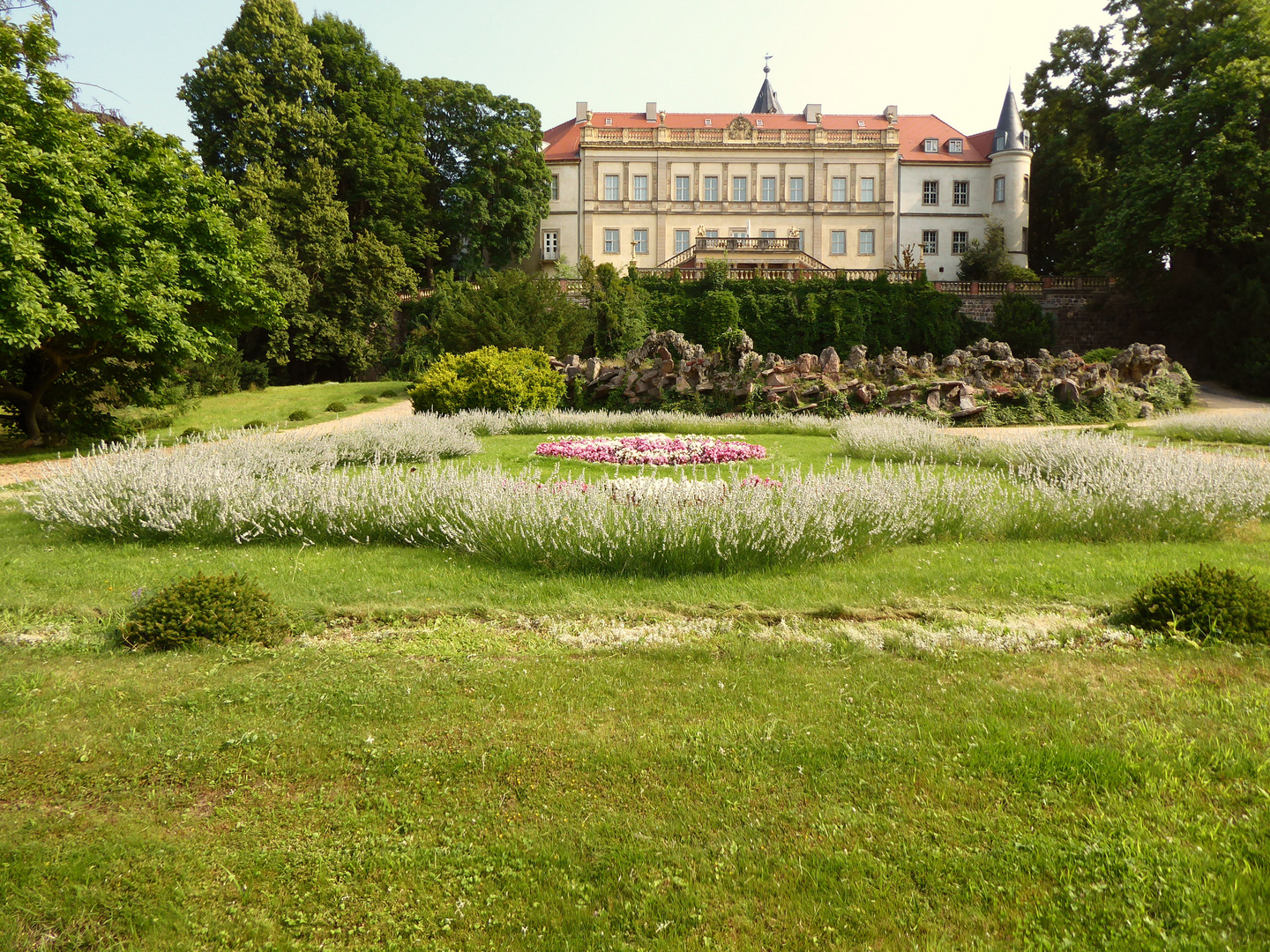 weißer Lavendel im Schlosspark