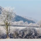 Weißer November... 