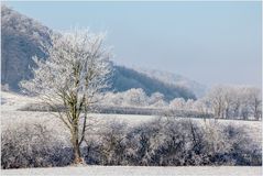 Weißer November... 