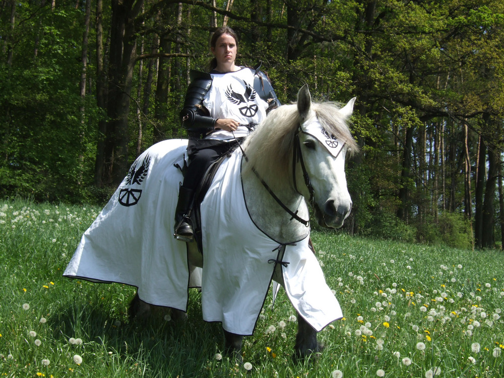 ~* Weißer Ritter *~ Foto & Bild | szene, rollenspiel, menschen Bilder