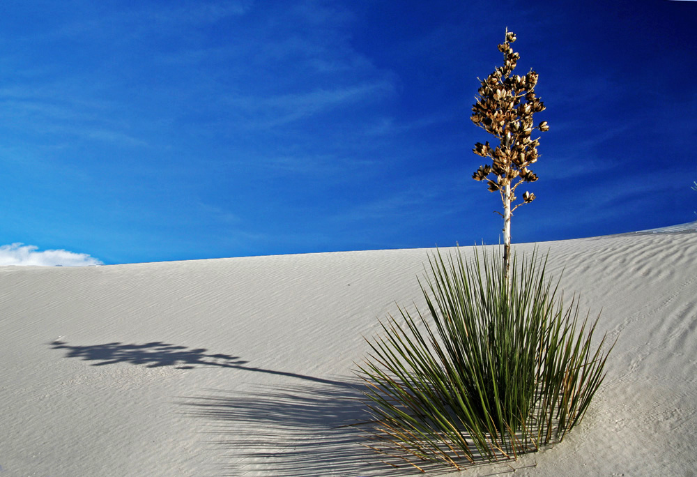 Weißer Sand