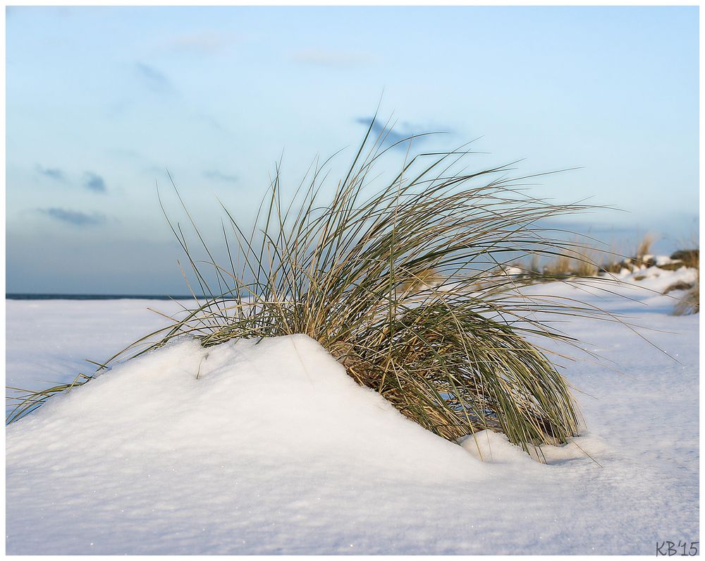 weißer Sand oder Schnee?