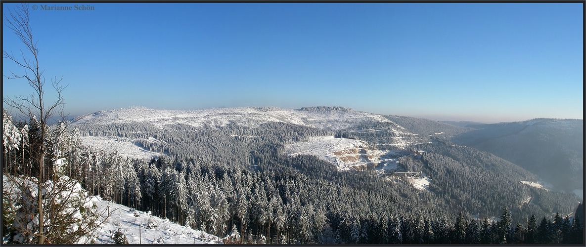 Weißer Schwarzwald- Blick zum...