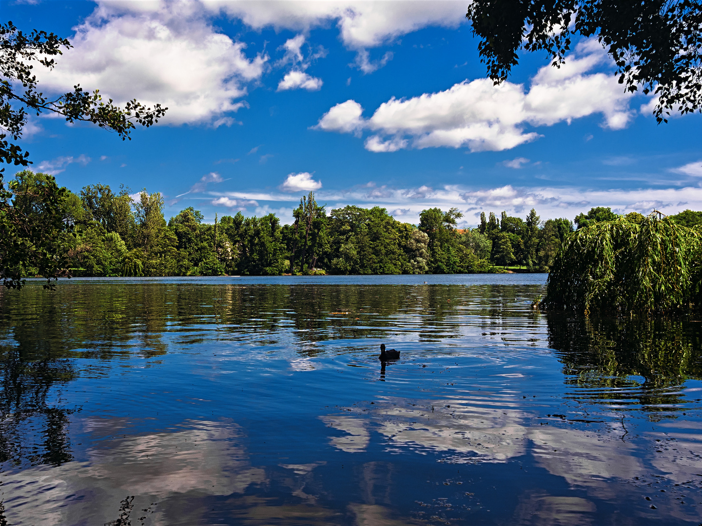 Weißer See mit Spiegelung bei Kaiserwetter