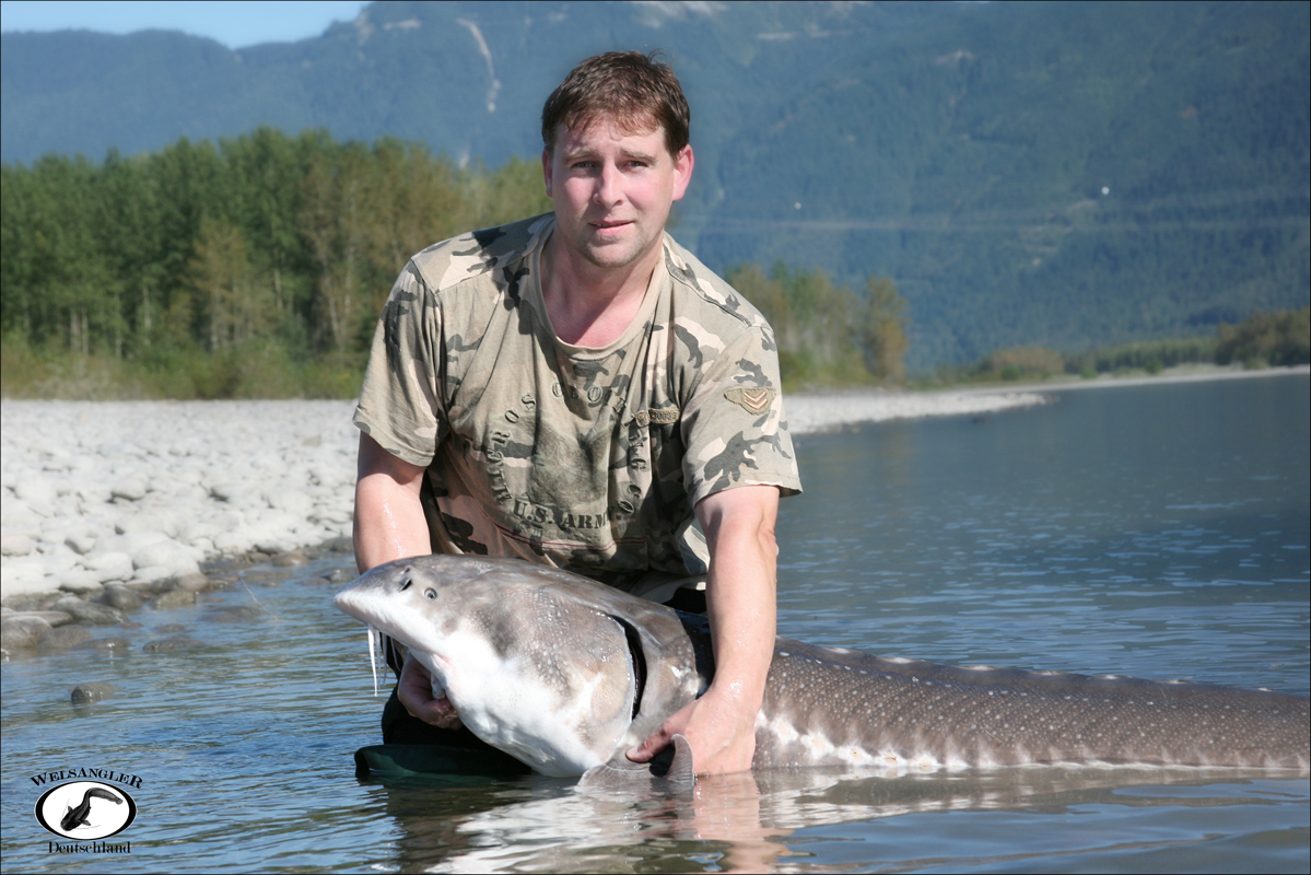 Weißer Stör / Störangeln Foto & Bild tiere, wildlife, fische Bilder auf