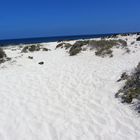 Weißer Strand auf Lanzarote