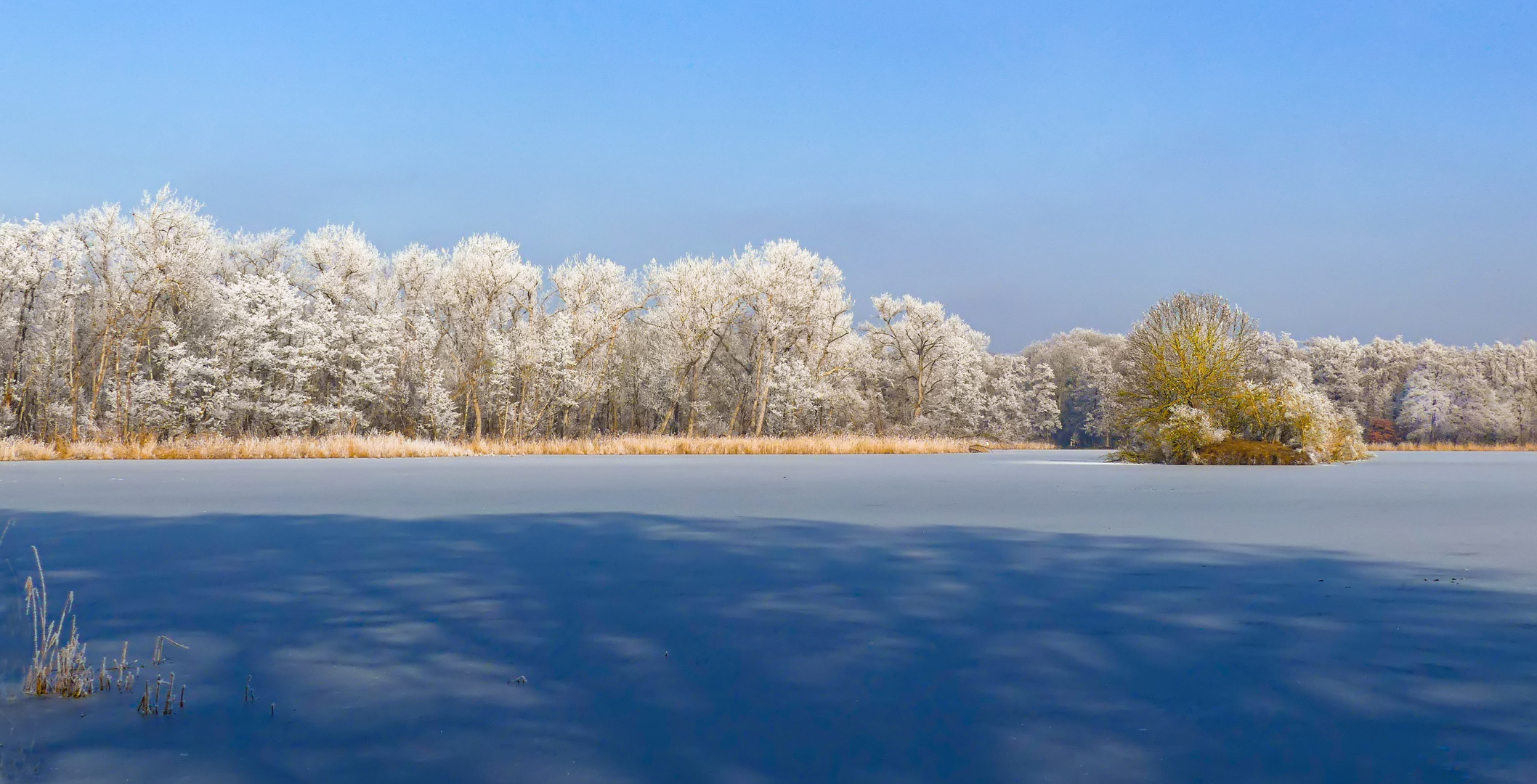 Weißer Traum am blauen Montag