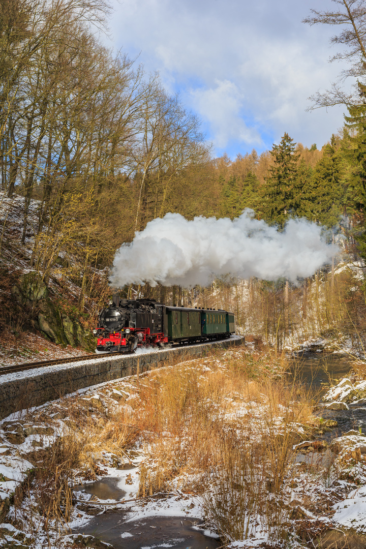 Weisseritztal im Winter