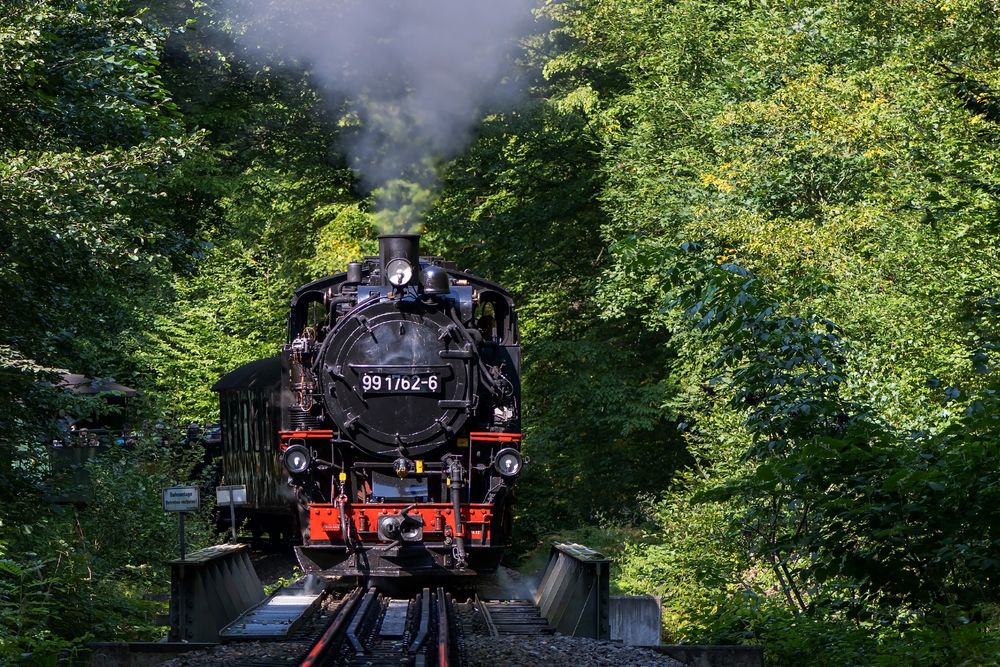 Weißeritztalbahn...