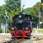 Weißeritztalbahn, 19.7.14 (2)