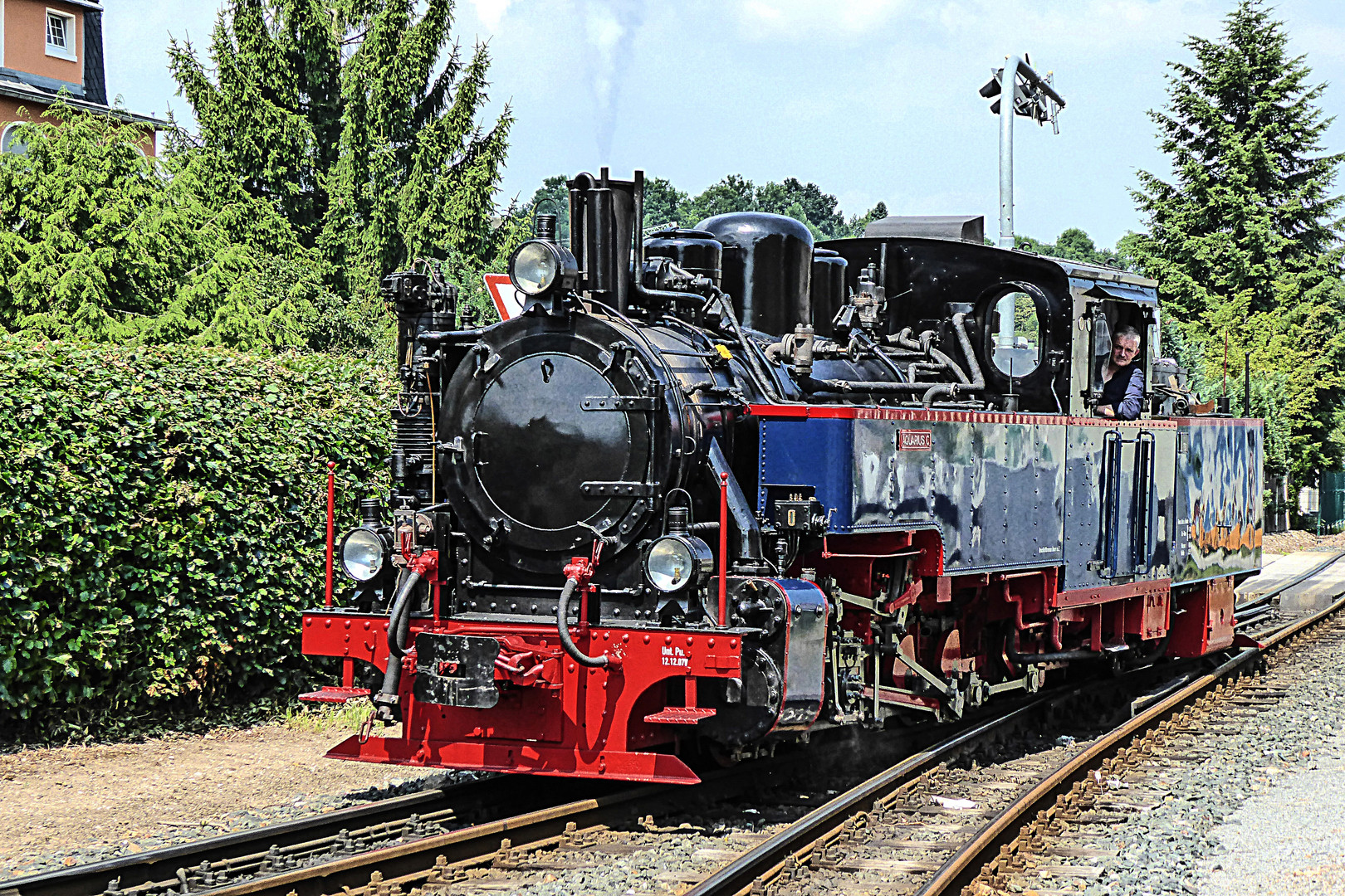 Weißeritztalbahn, 19.7.14 (3)