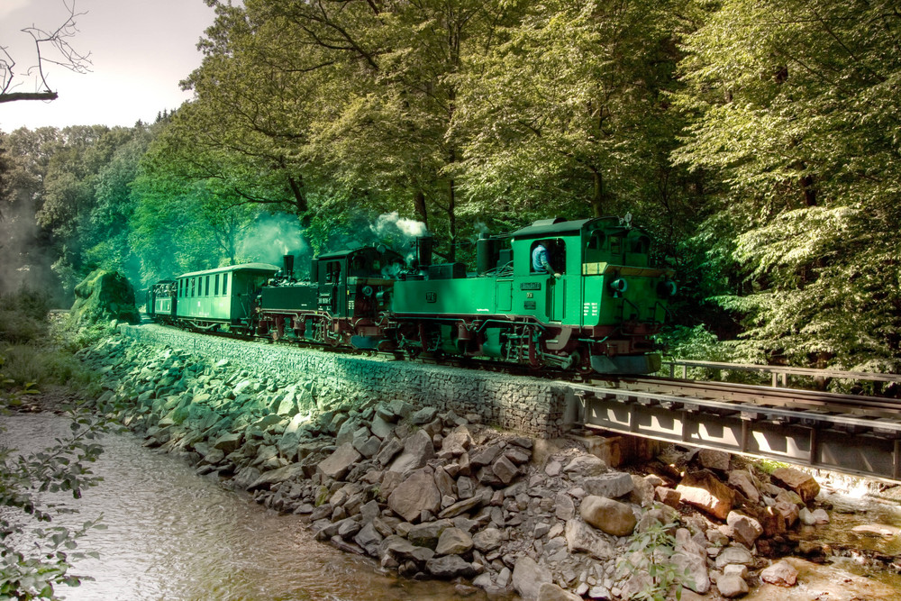 Weißeritztalbahn - Auf dem Rückweg