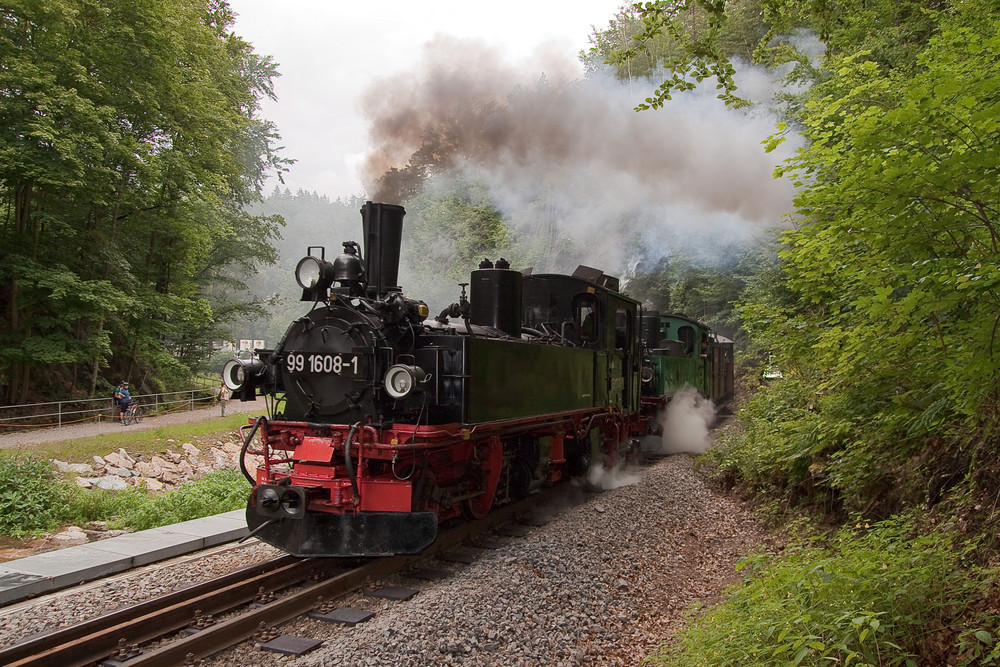 Weißeritztalbahn - Ausfahrt Bf. Rabenau