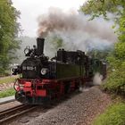 Weißeritztalbahn - Ausfahrt Bf. Rabenau