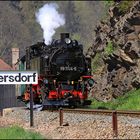 Weißeritztalbahn bei Dresden Ostern 2011