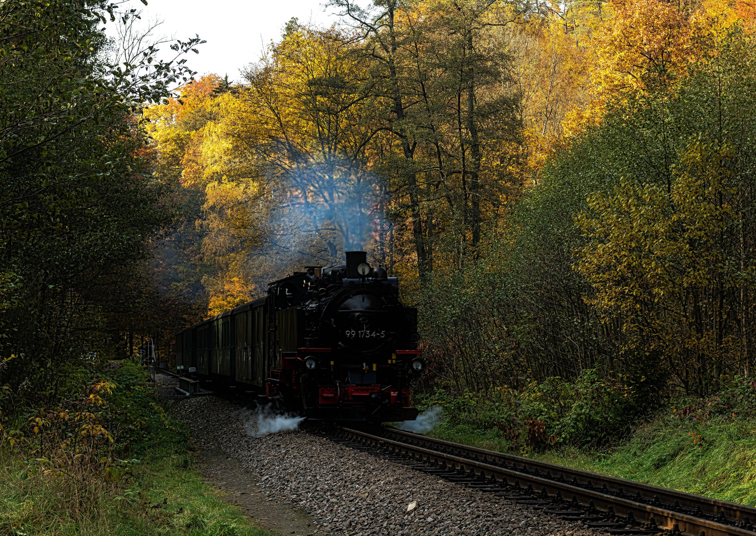 Weißeritztalbahn im Rabenauer Grund