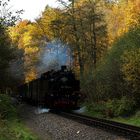 Weißeritztalbahn im Rabenauer Grund