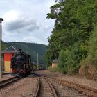 Weißeritztalbahn in Kipsdorf