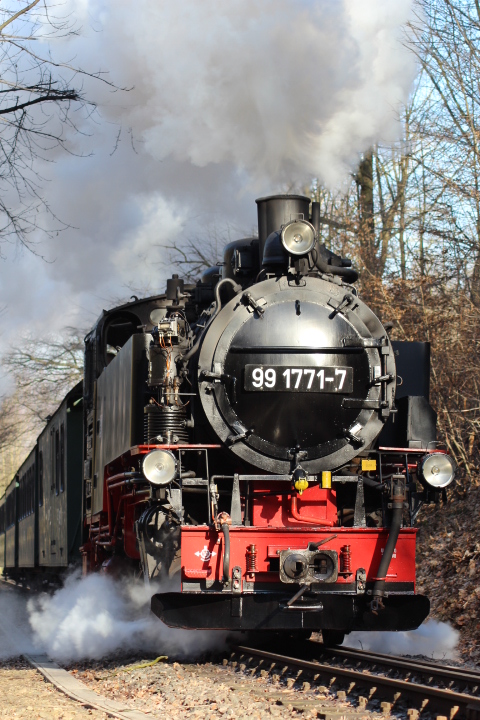 Weißeritztalbahn unter Dampf Nr.2