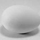 Weißes Ei auf weißer Hintergrund