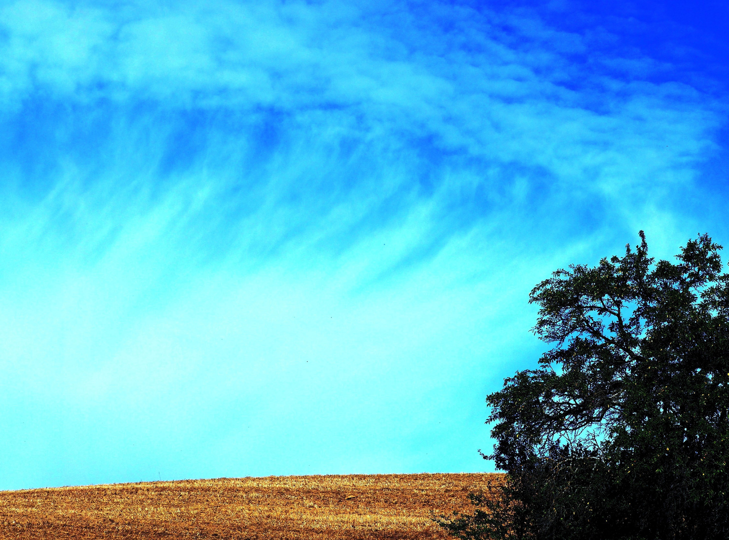 Weißes Farbenspiel am Himmel